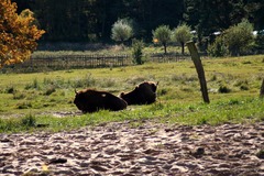 Killikus&reg; Fotographie